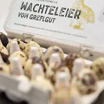Apartman Biohof Greflgut Vocklamarkt