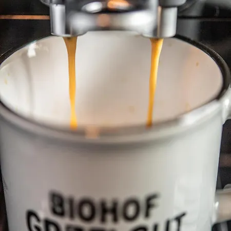 Biohof Greflgut Διαμέρισμα *