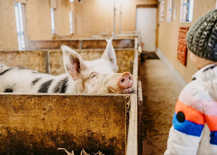 Biohof Greflgut Apartmán *