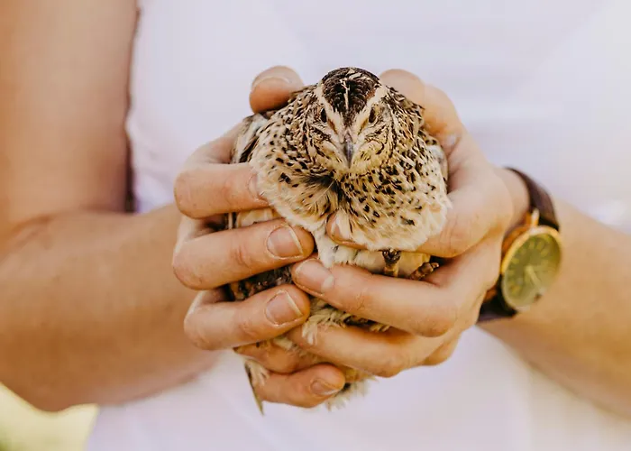 Biohof Greflgut Apartmán