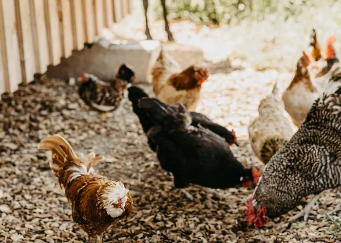 Biohof Greflgut Apartmán *