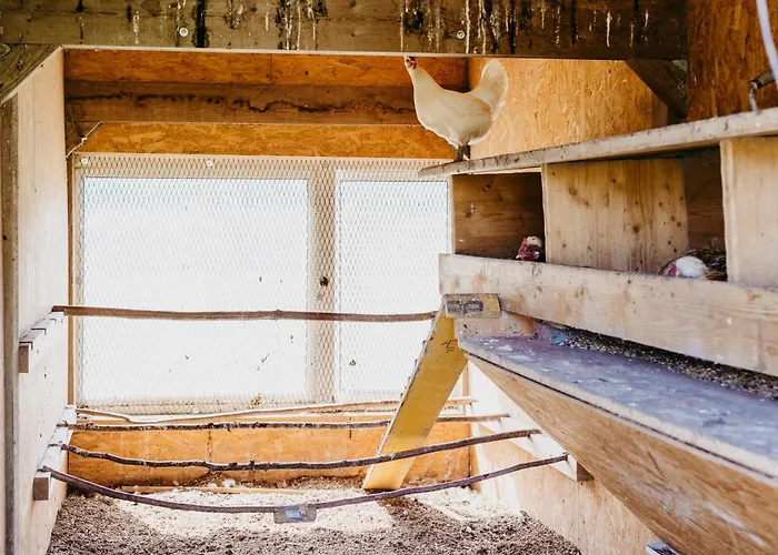 Apartmán Biohof Greflgut *