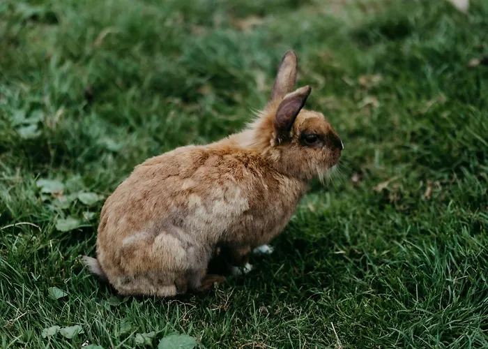 Biohof Greflgut * Vocklamarkt