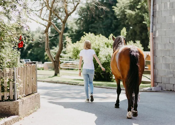 Apartmán Biohof Greflgut