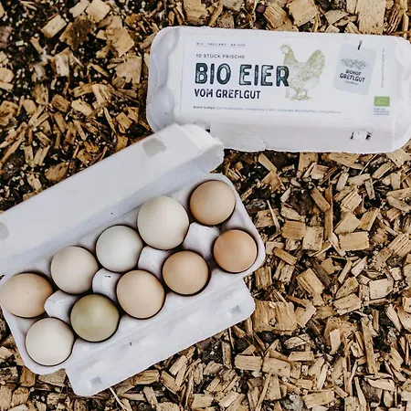 شقة Biohof Greflgut