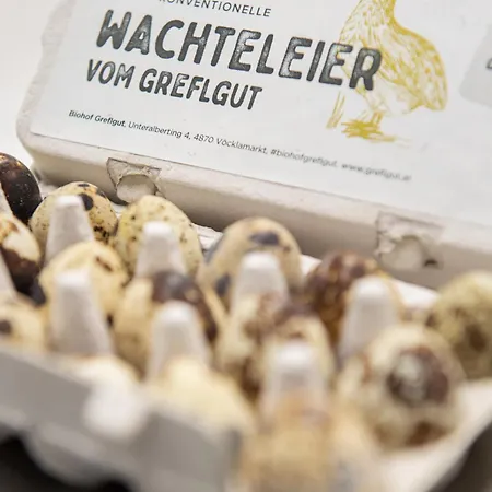 Lejlighed Biohof Greflgut Vocklamarkt