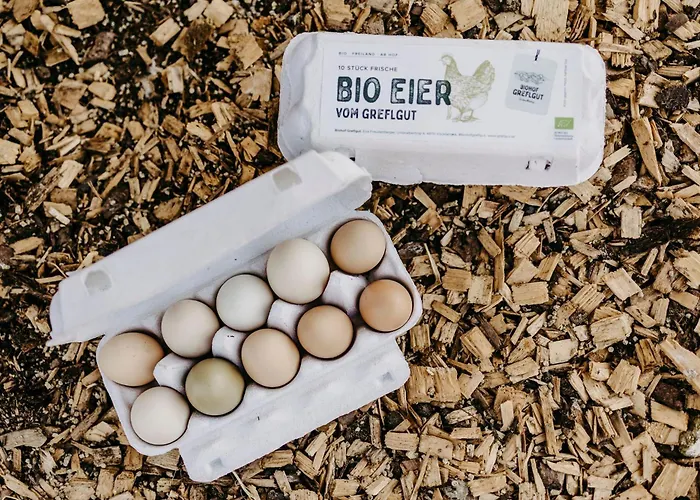 شقة Biohof Greflgut