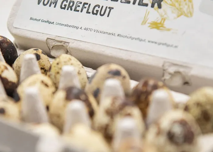 شقة Biohof Greflgut Vocklamarkt