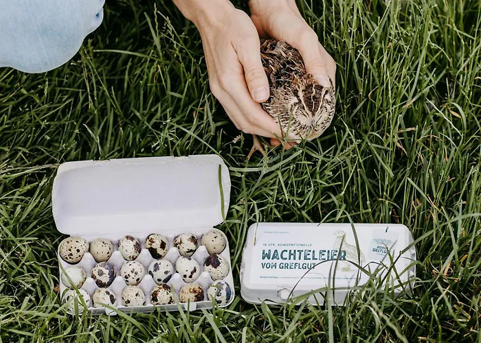 Biohof Greflgut شقة